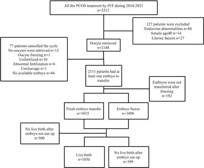 The Optimal Number of Oocytes Retrieved From PCOS Patients Receiving IVF to Obtain Associated With Maximum Cumulative Live Birth Rate and Live Birth After Fresh Embryo Transfer